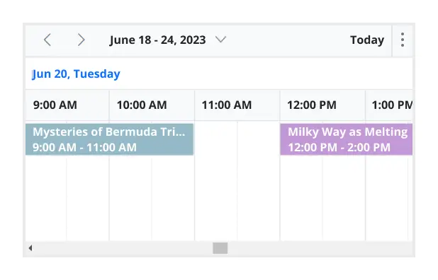 Illustration of working time in Angular Scheduler.