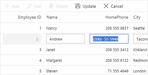 ASP.NET Core Data Grid using custom edit UI.