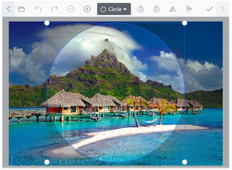 ASP.NET Core Image Editor circle selection