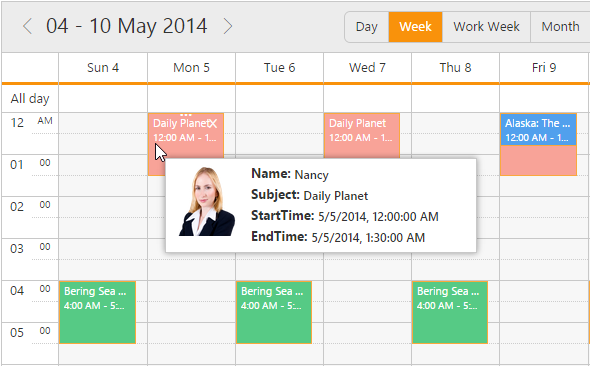 Appointments Tooltip Template