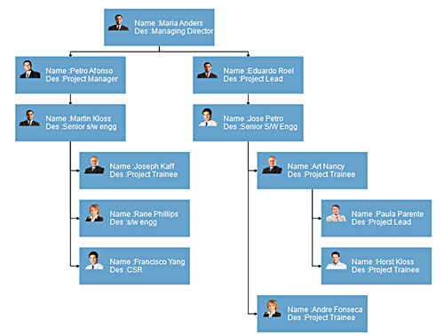 Organizational chart visualization by using data binding and automatic layout features in WinForms Diagram Control