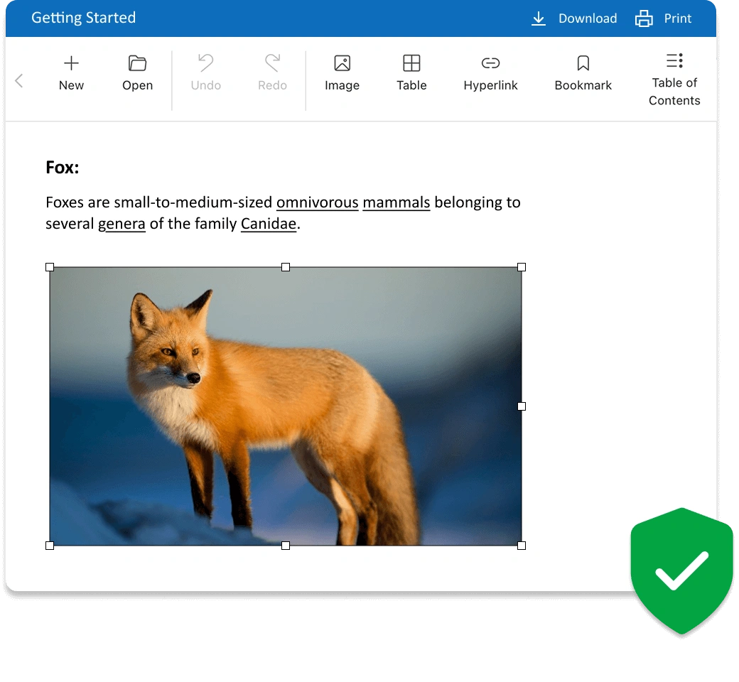 Secure editing in the browser.