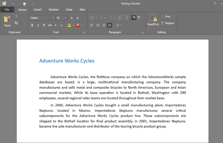 WPF RichTextBox with Blend Theme