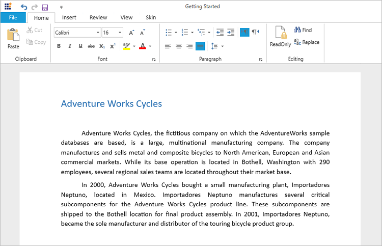 WPF RichTextBox with Metro Theme