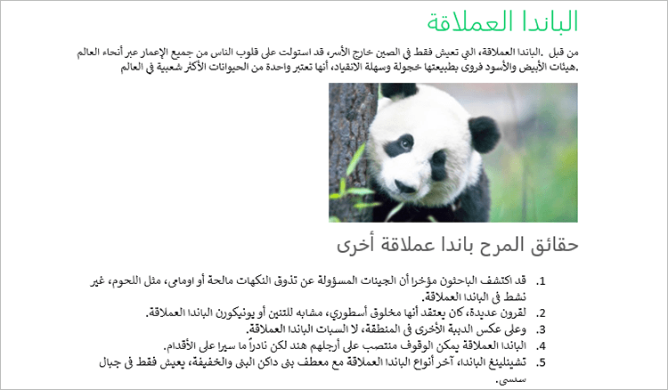 WPF RichTextBox in Right to Left