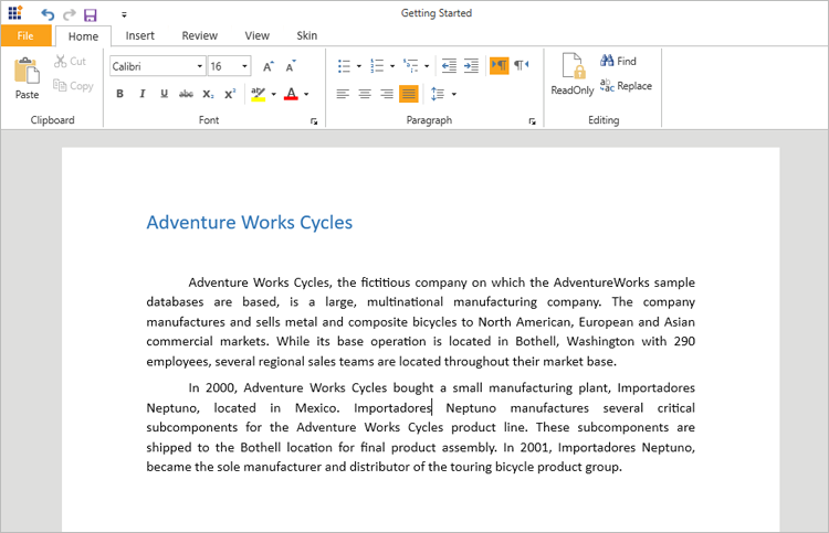 WPF RichTextBox with Saffron Theme