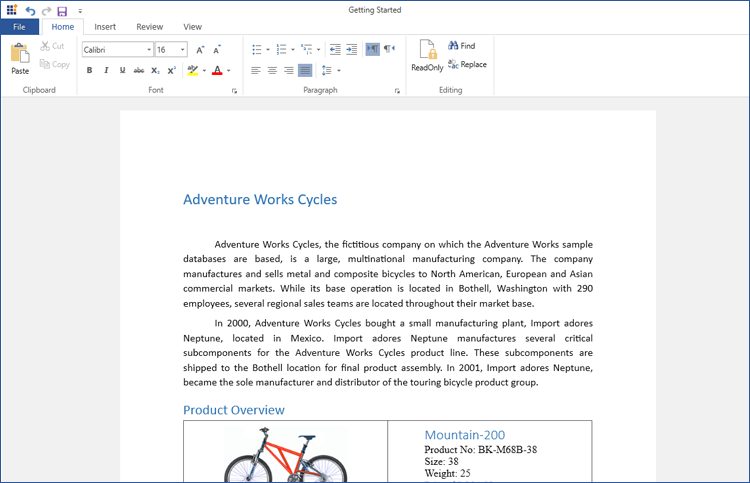 WPF RichTextBox with Word Document Editor