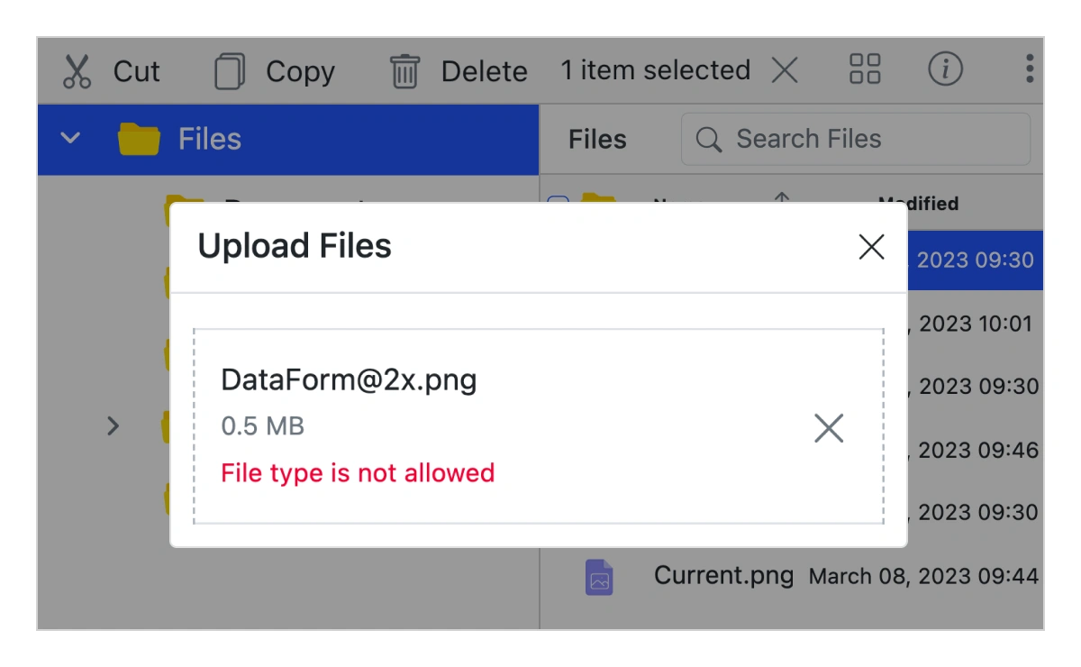 Restrict file types in JavaScript File Manager.