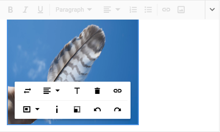 JavaScript Rich Text Editor with quick toolbar.