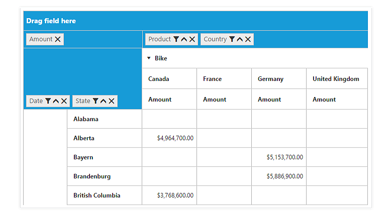 Groups fields in JSP pivot grid control to change existing reports dynamically at run-time