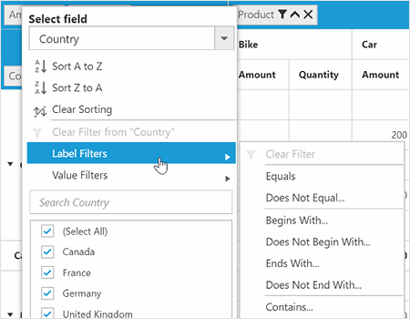 Excel like filtering meanu in pivot grid control