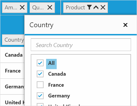 Filters row and column headers JSP in pivot grid control