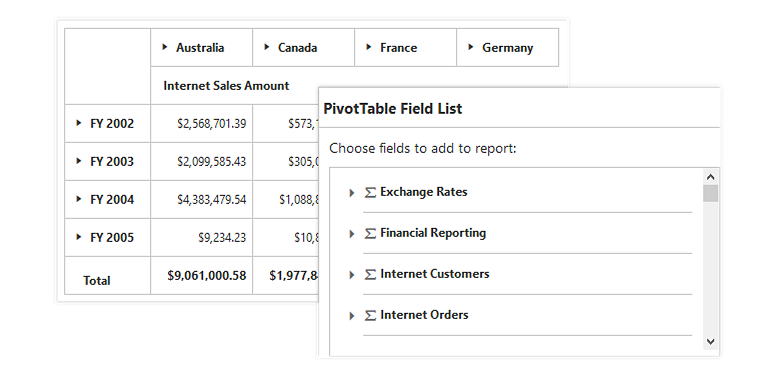 Field list support in JSP pivot grid control for creating reports dynamically at run-time