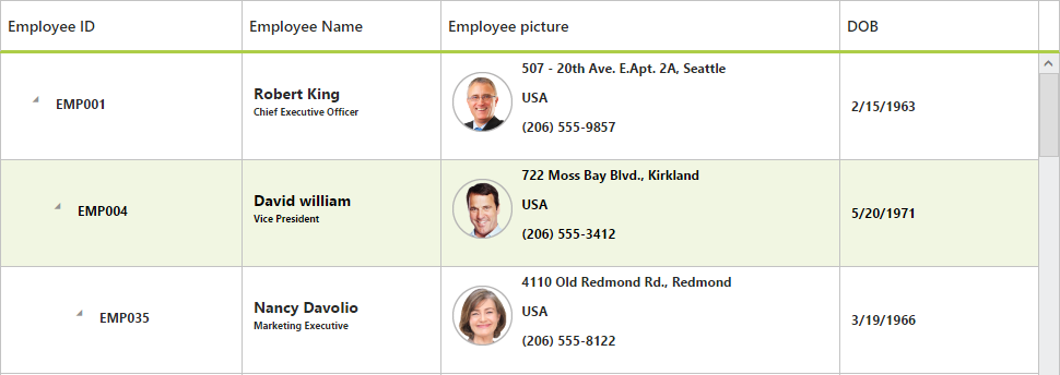 Row customization in JSP TreeGrid