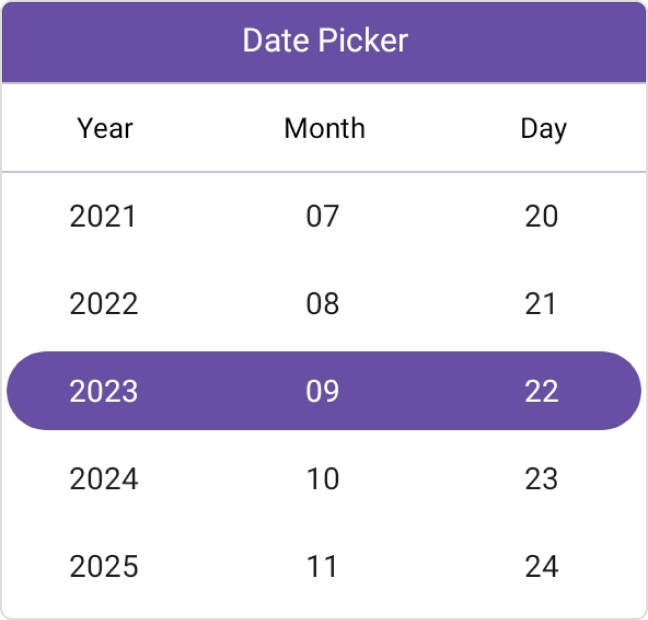 .NET MAUI Date Picker with format yyyy_MM_dd.
