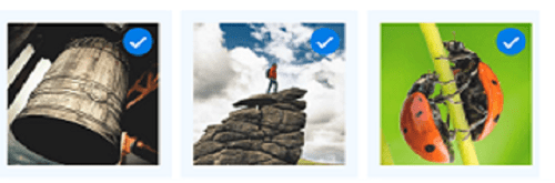 .NET MAUI Effects View selection and scale.