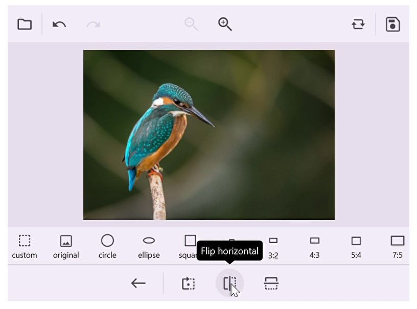 .NET MAUI Image Editor flip support.