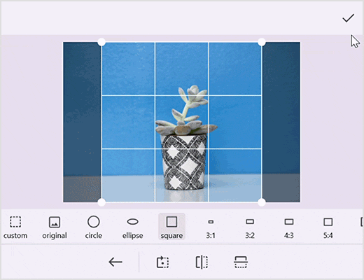 Reset in .NET MAUI Image Editor.