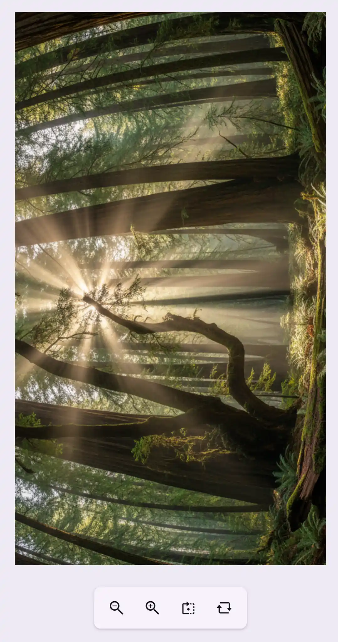Rotate in .NET MAUI Interactive Viewer Control.