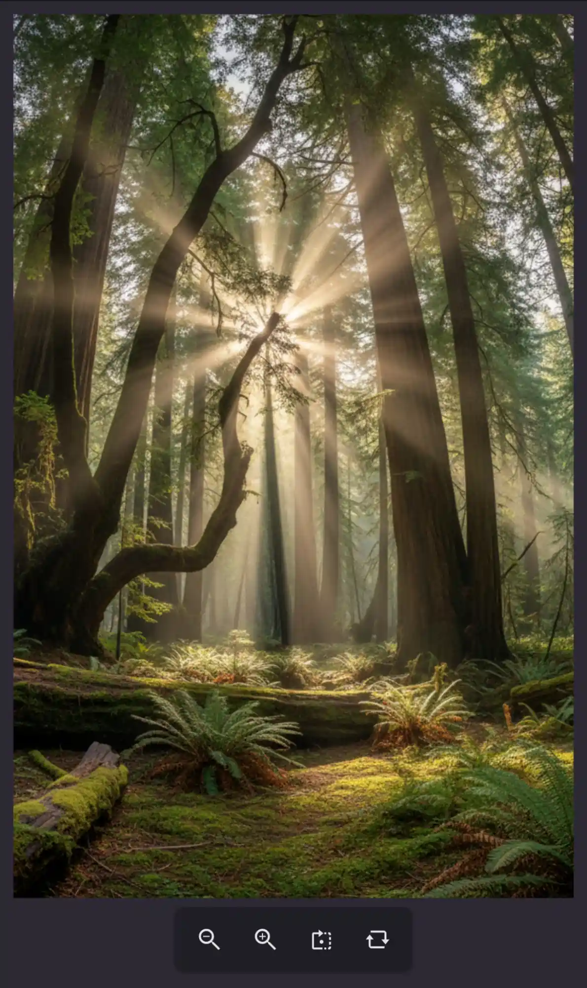 Theme Support in .NET MAUI Interactive Viewer Control.