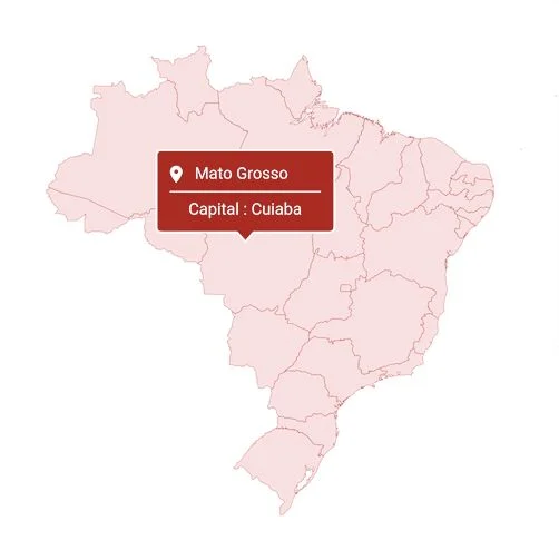 .NET MAUI Maps shape tooltip.