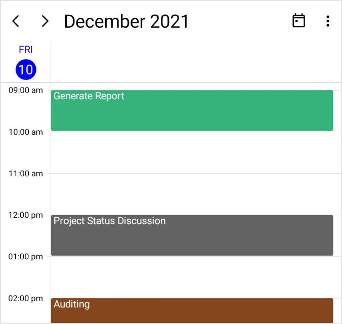 Day view appointments in the .NET MAUI Scheduler.