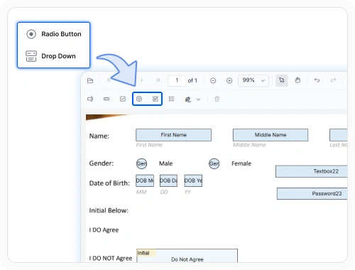 Radio button and dropdown form fields