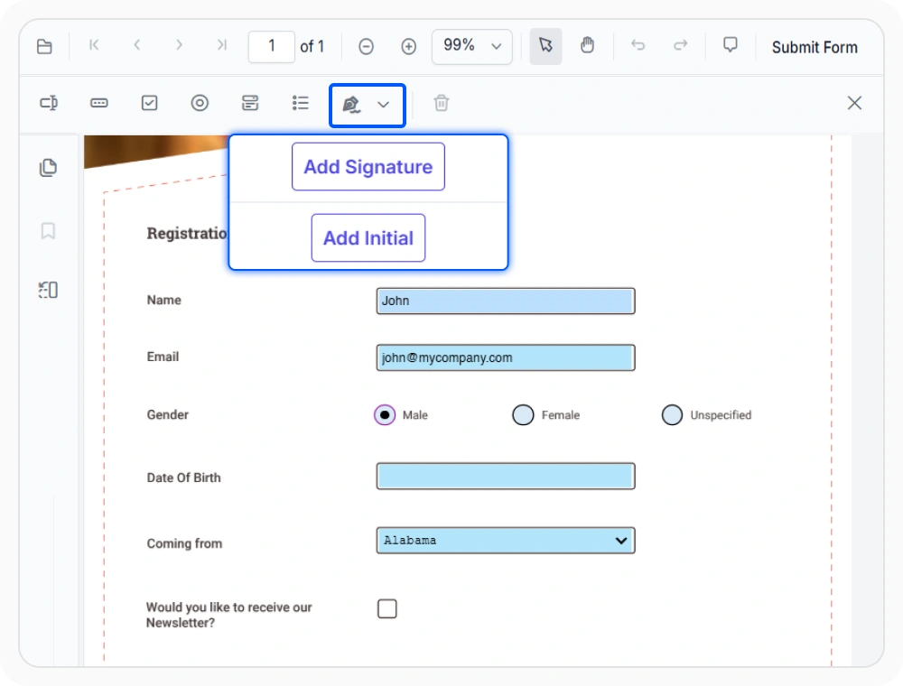 Signature and initial form fields