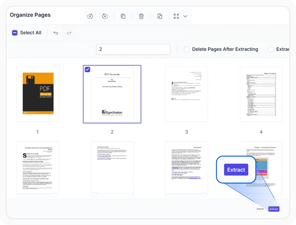React PDF Viewer with selected pages marked for extraction
