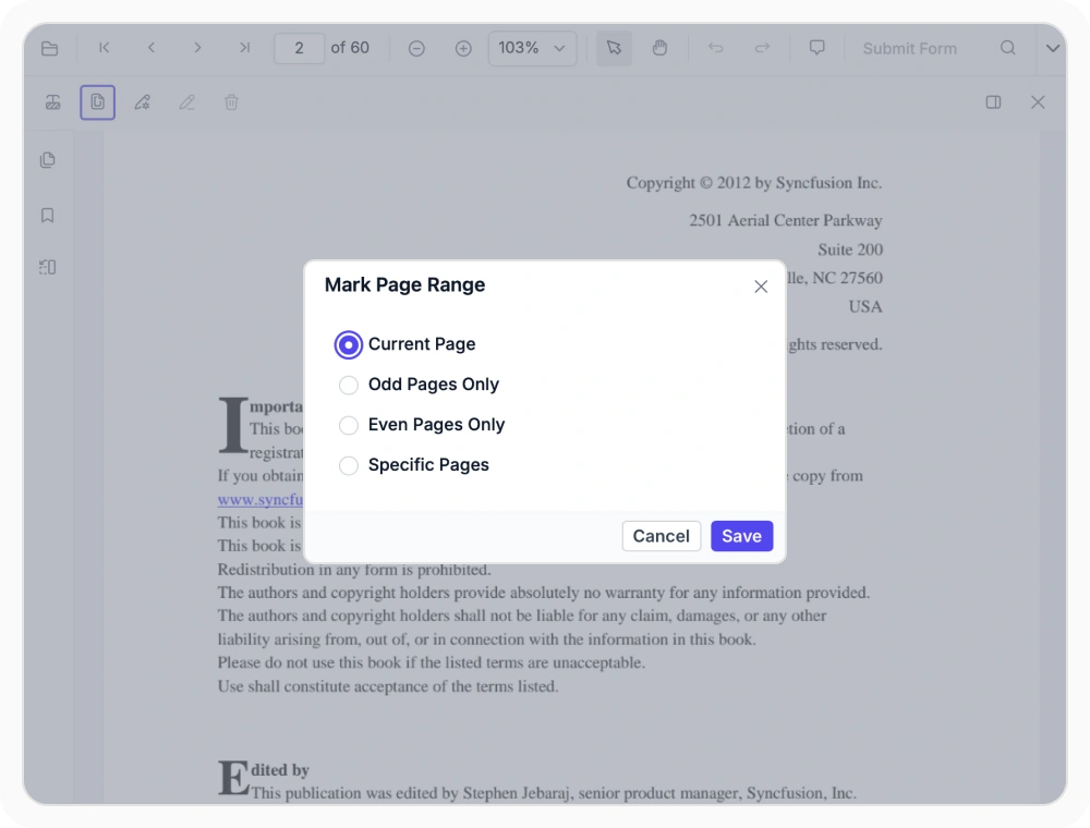 Page-level redaction