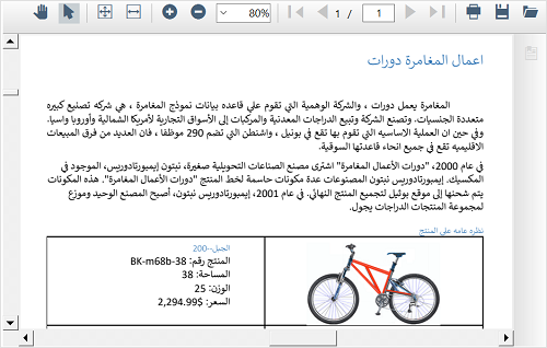 WinForms PDF Viewer RTL Support