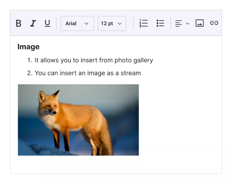 .NET MAUI Rich Text Editor provides image insertion support.
