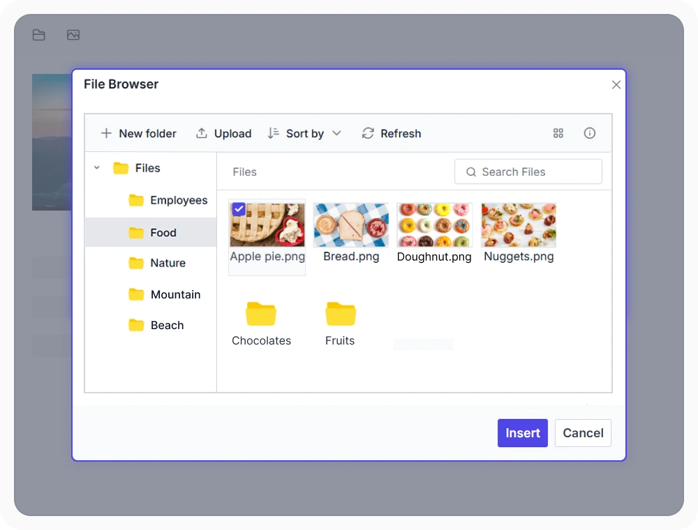 React Rich Text Editor browse images with File Manager