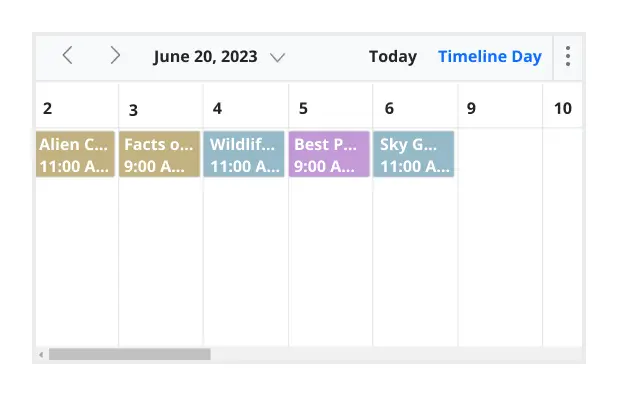 Illustration of hiding weekend days in Angular Scheduler.