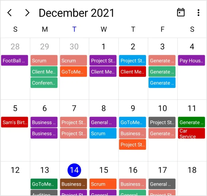 Month view appointments in the .NET MAUI Scheduler.