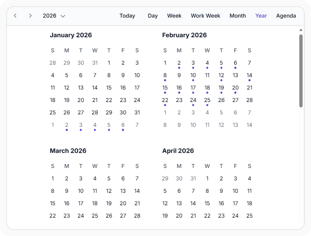 React Scheduler year view displaying a full calendar year with monthly summaries