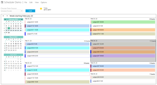 WinForms Scheduler week