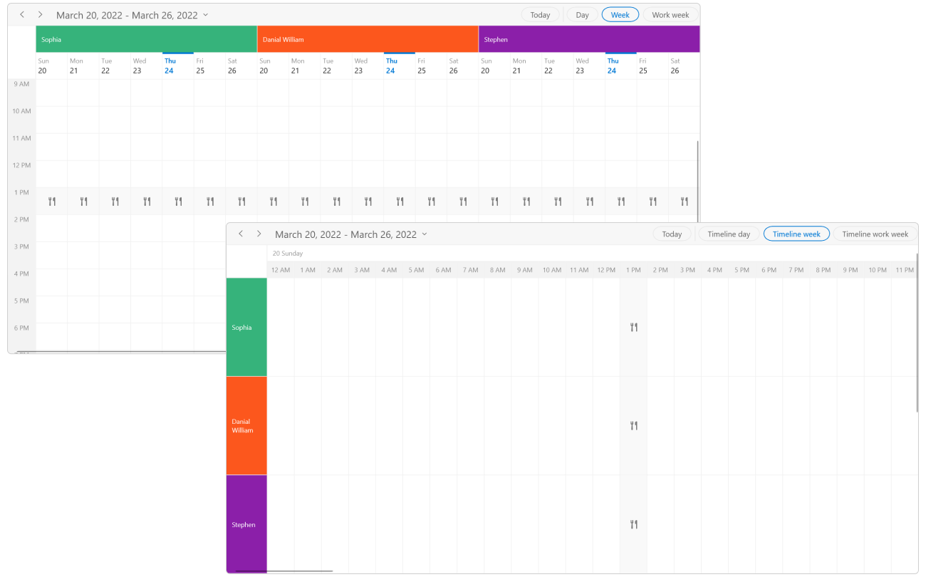 Resource with special region in WinUI Scheduler.