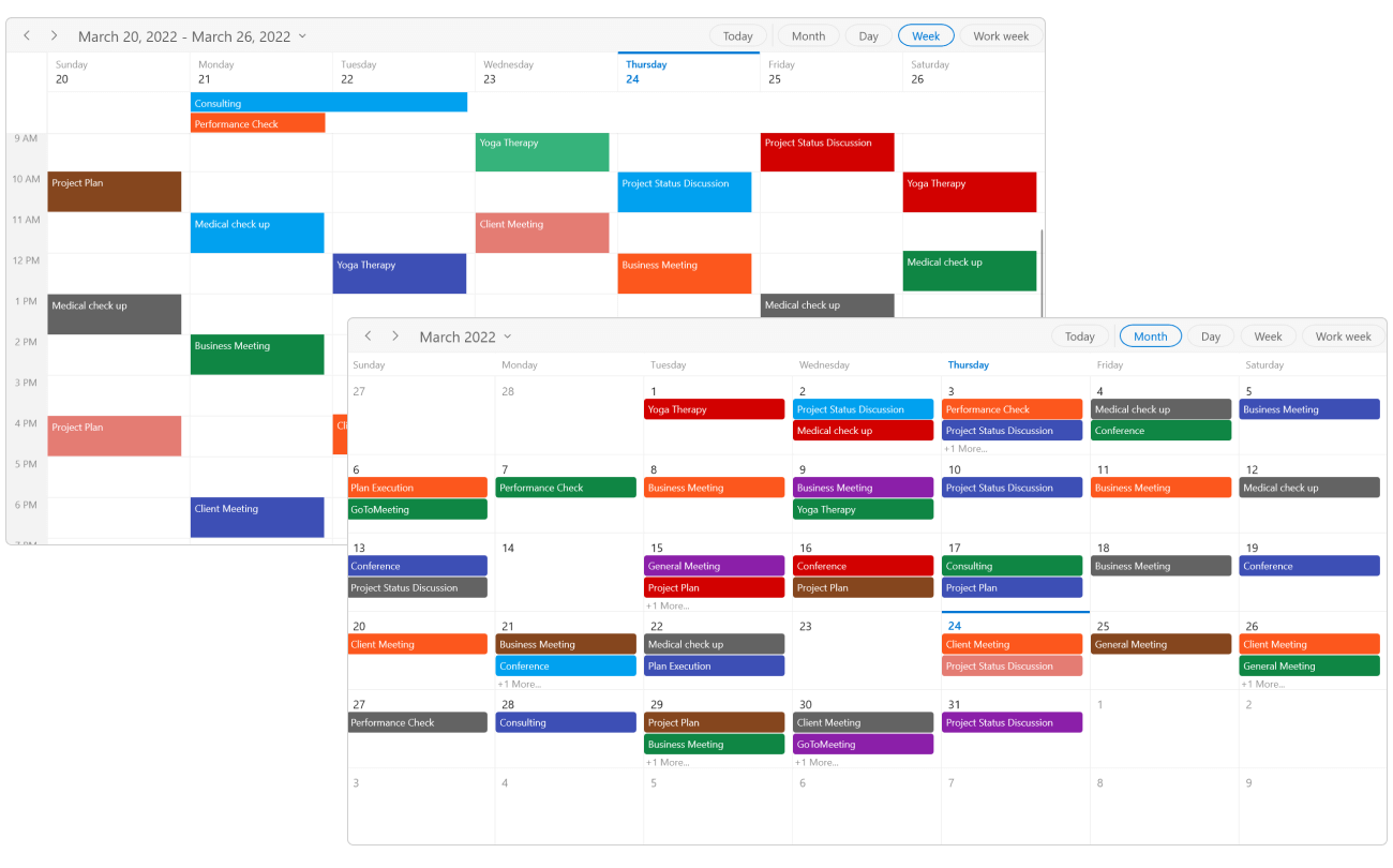 WinUI Scheduler Week View with Appointments