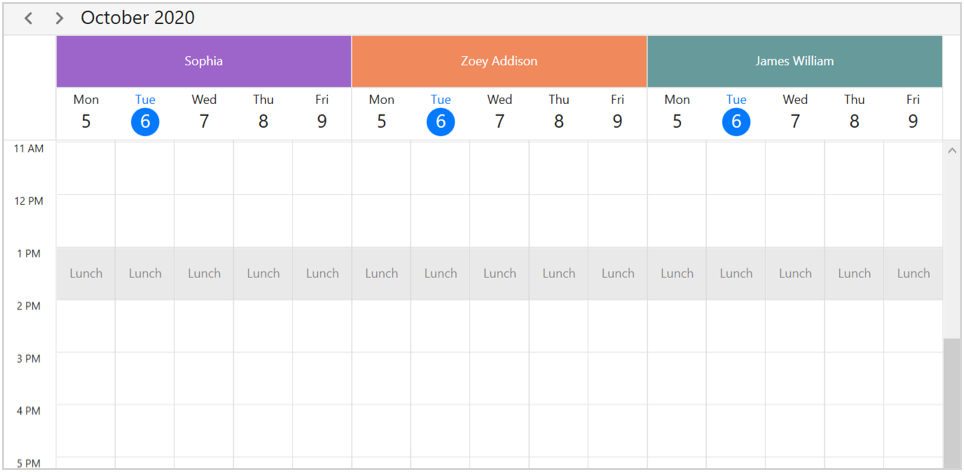 Resource with special region in day view