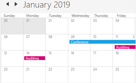 Appointment display in WPF Scheduler month view