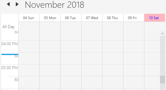 Current date and time customization in WPF Scheduler