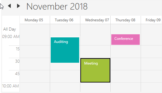 Time slot customization in WPF Scheduler