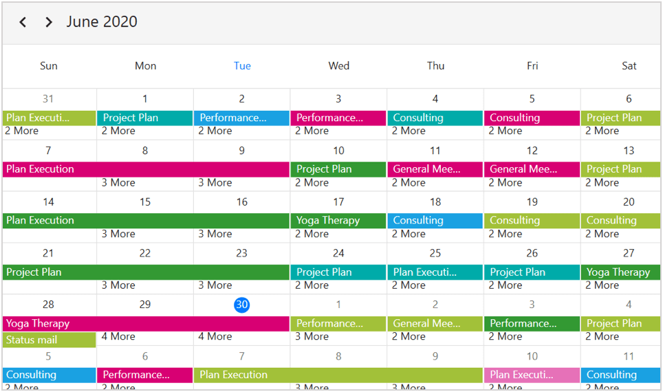 WPF Scheduler Month View Appointments