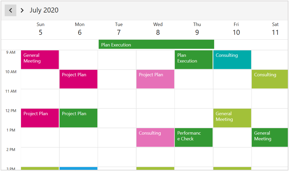 WPF Scheduler Week View Appointments