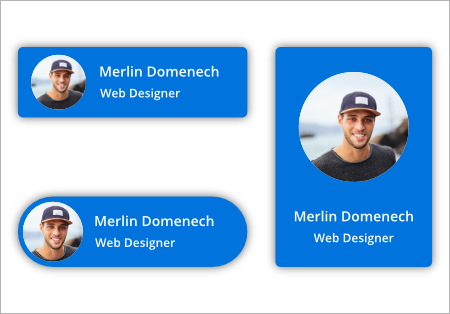 Image, shape, button, text box, and combo box hosted inside a diagram using node features.