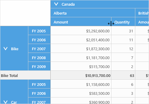 Column resizing support in UWP pivot grid control