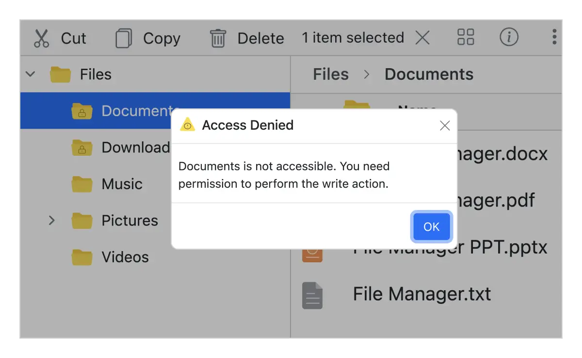 Access control support in Vue File Manager.