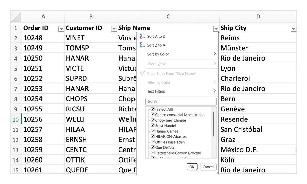 Enabling the filter option in Vue Data Grid.