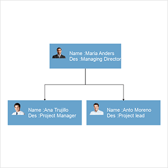 Add multiple labels on nodes and connectors using Label feature in WinForms Diagram Control
